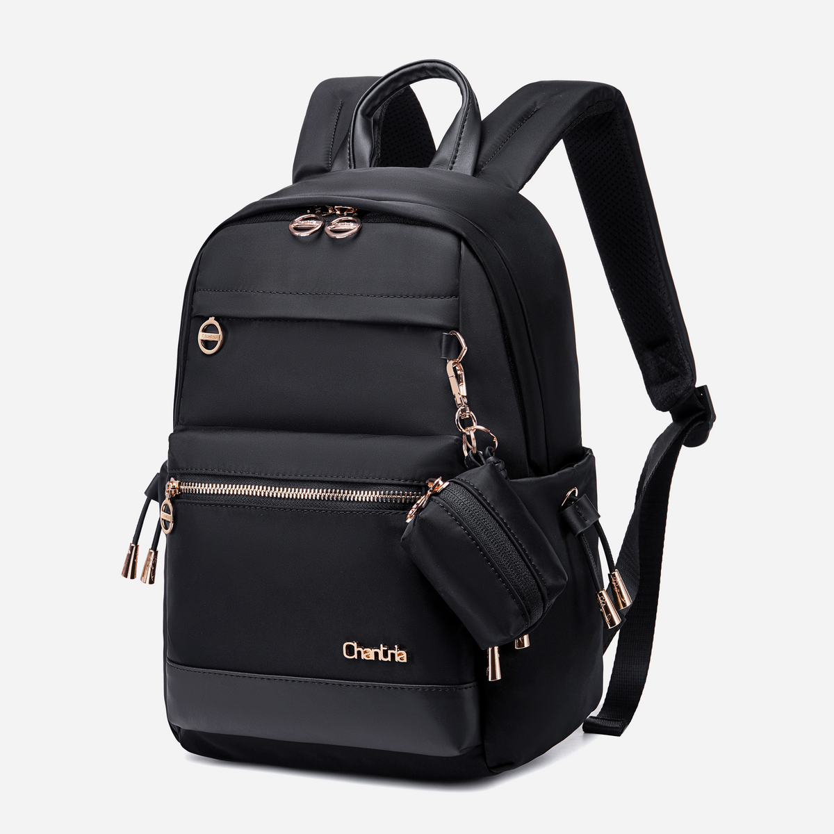Chantria CB00960