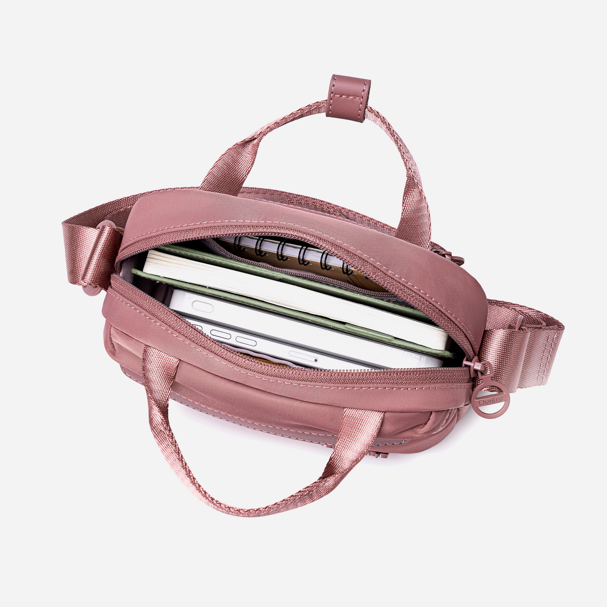 Chantria CB00771