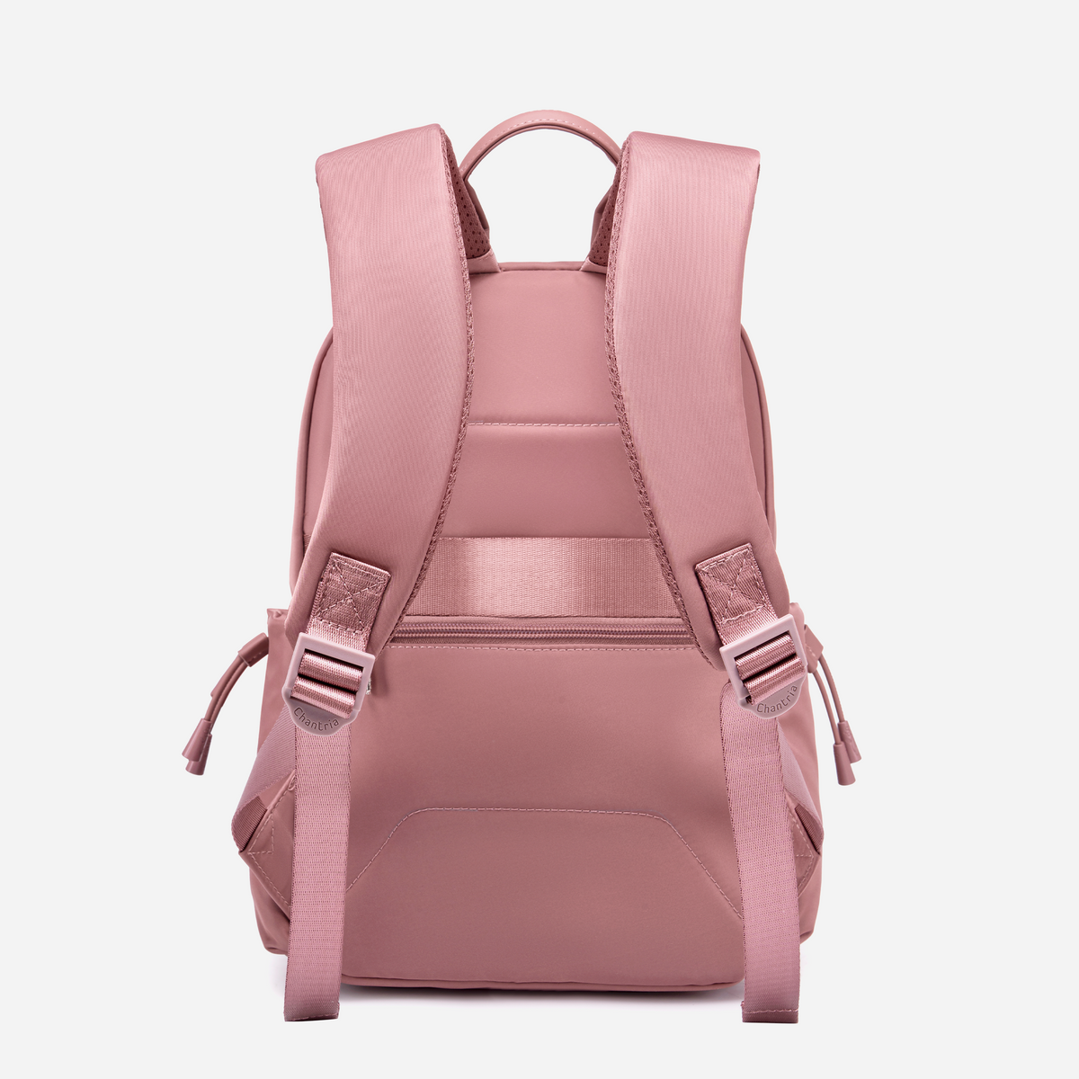 Chantria CB00960